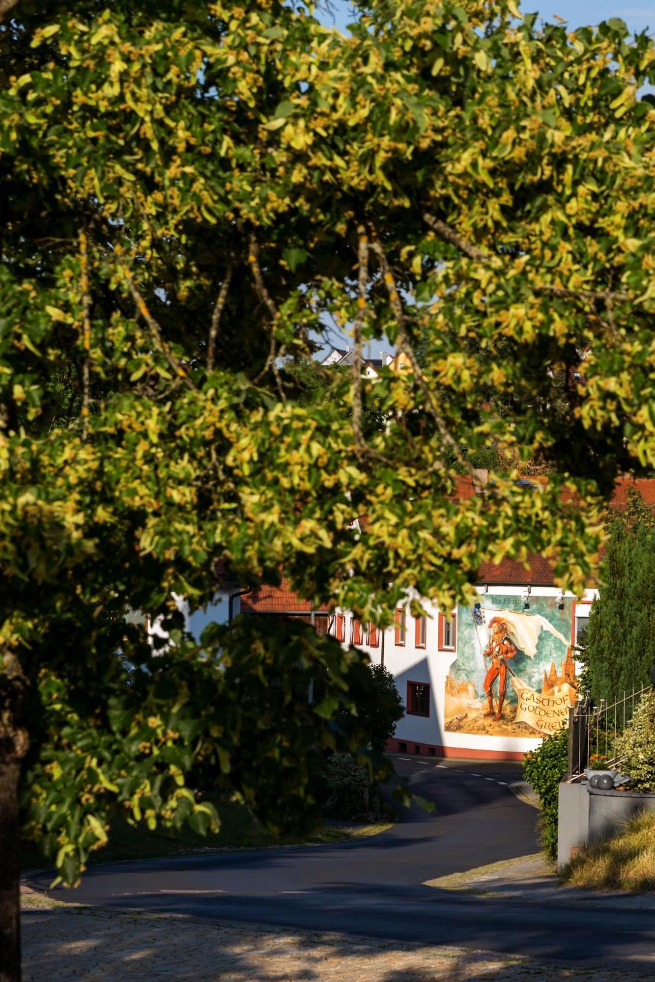 Wirtshaus & Hotel Goldener Greif Edelsfeld Екстер'єр фото